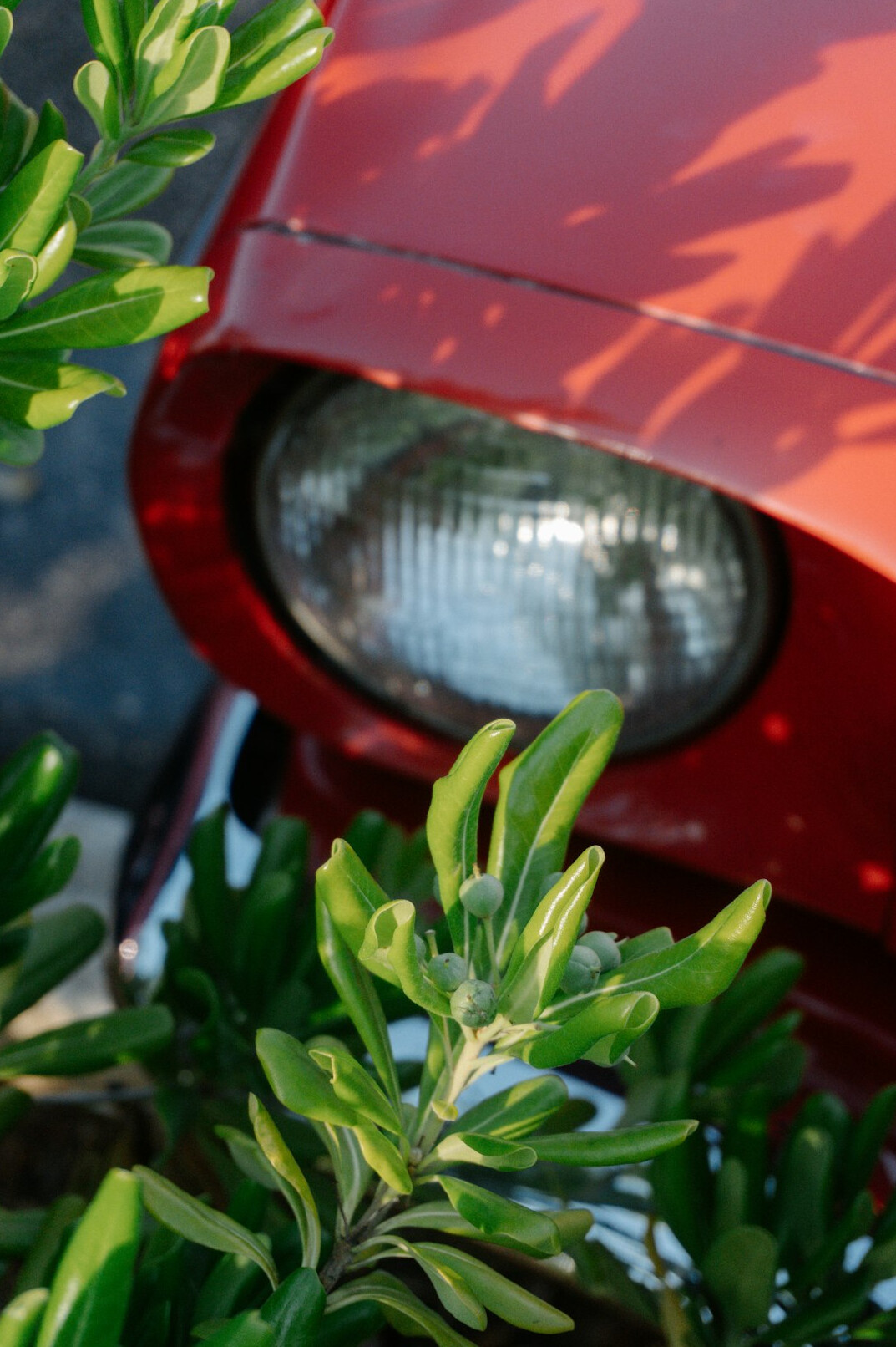 Classic red car parked outdoors